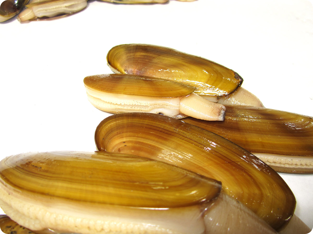 Live Razor Clams - Order Online – Big Alaska Seafood