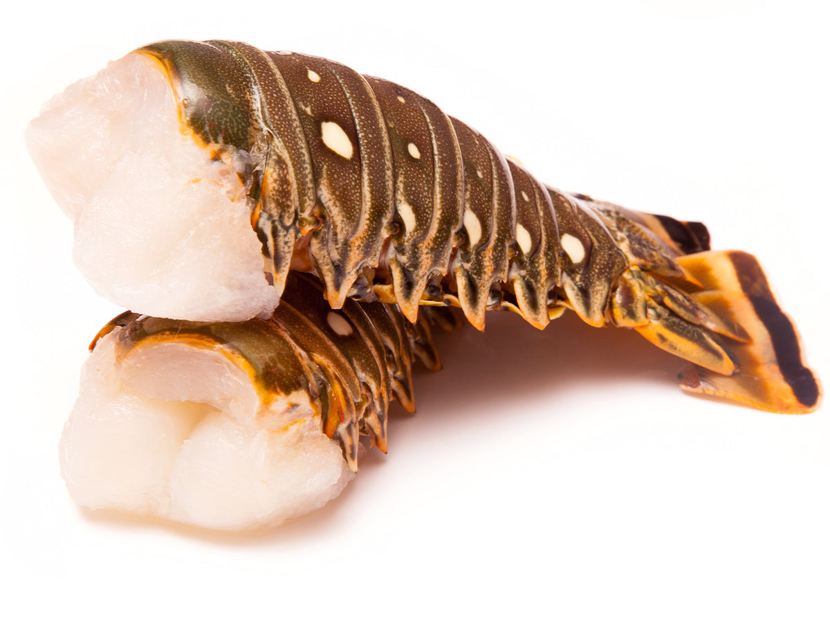 Warm Water Lobster Tails (Caribbean, XL) by the pound – Big Alaska Seafood