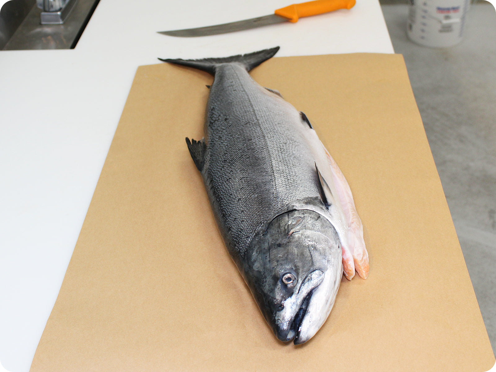 Wild-Caught Alaskan King Salmon | 6 Pcs 7-9 oz ea | Allen Brothers